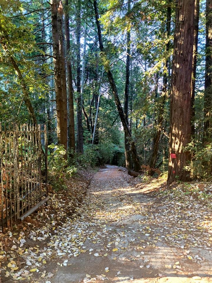 520 Summit Road Watsonville, CA 95076 - Photo 20 of 20 Gallery Image 20