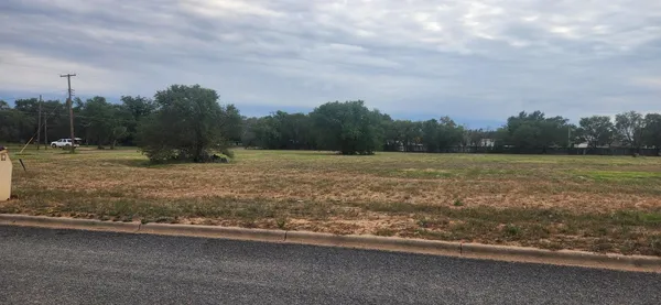 a view of a field with a tree in the background