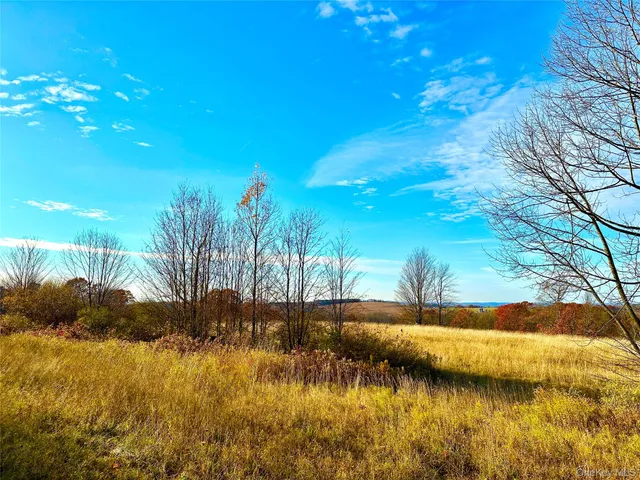 a view of a lake with a building in the background