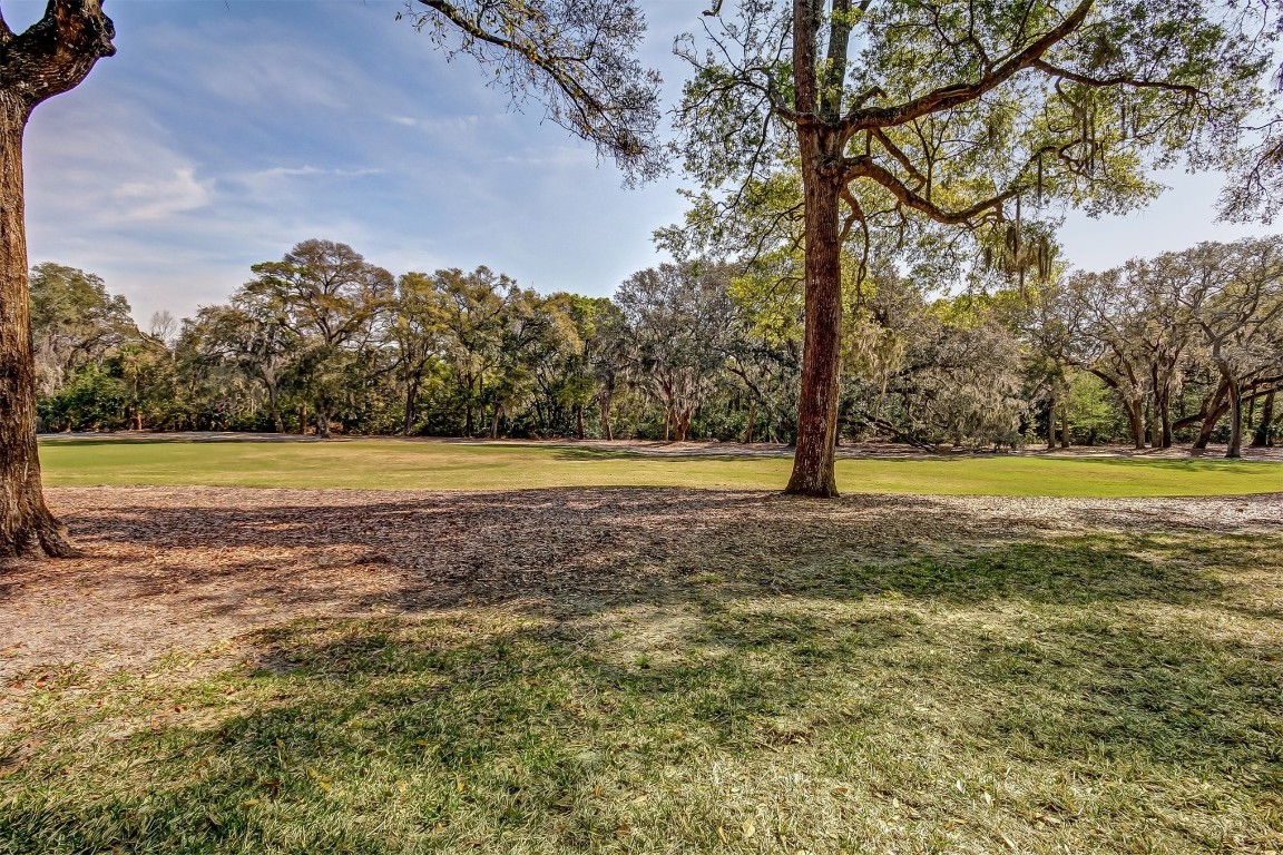 3327 Sea Marsh Road, Unit 3327 Fernandina Beach, FL 32034 - Photo 27 of 33 a view of yard with large trees
