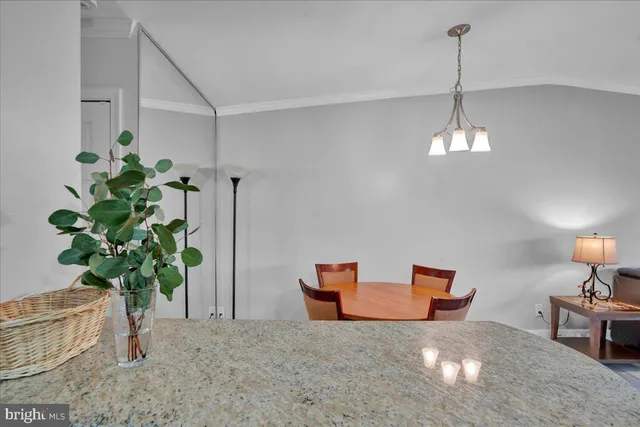 a plant room with furniture and a potted plant