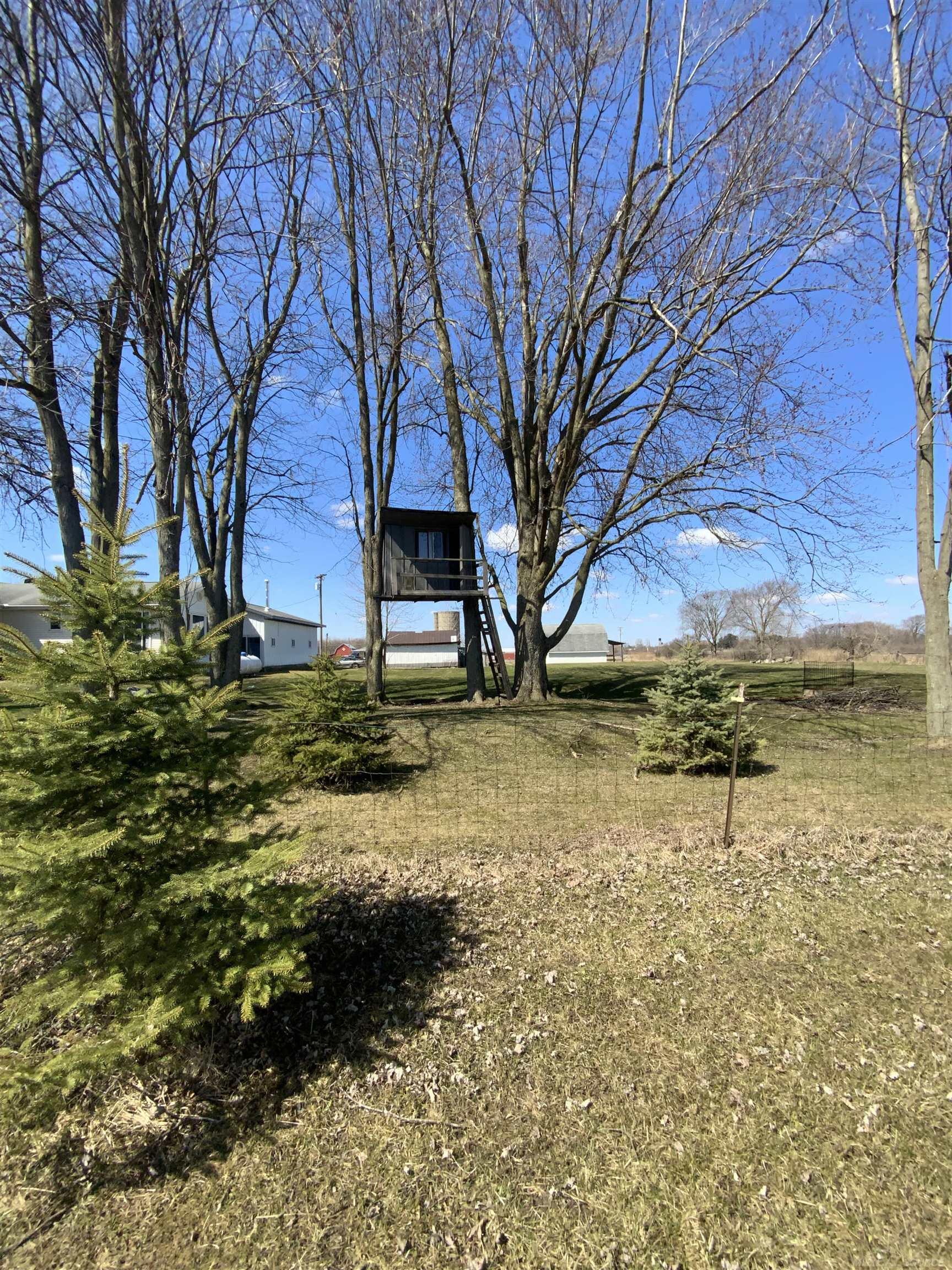 15984 Bryce Road Capac, MI 48014 - Photo 47 of 53