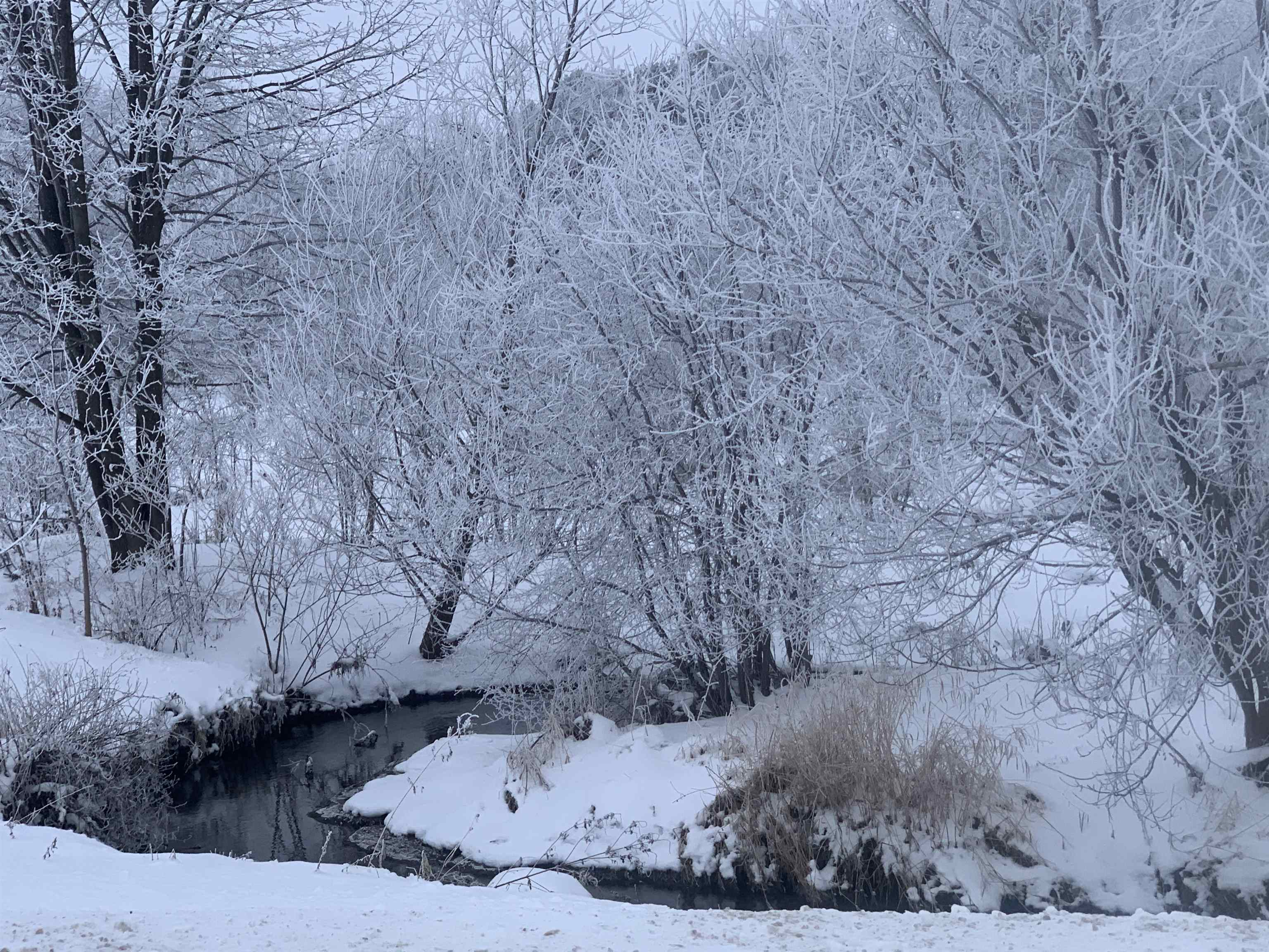 6415 South Windsor Prairie Road DeForest, WI 53532 - Photo 28 of 31