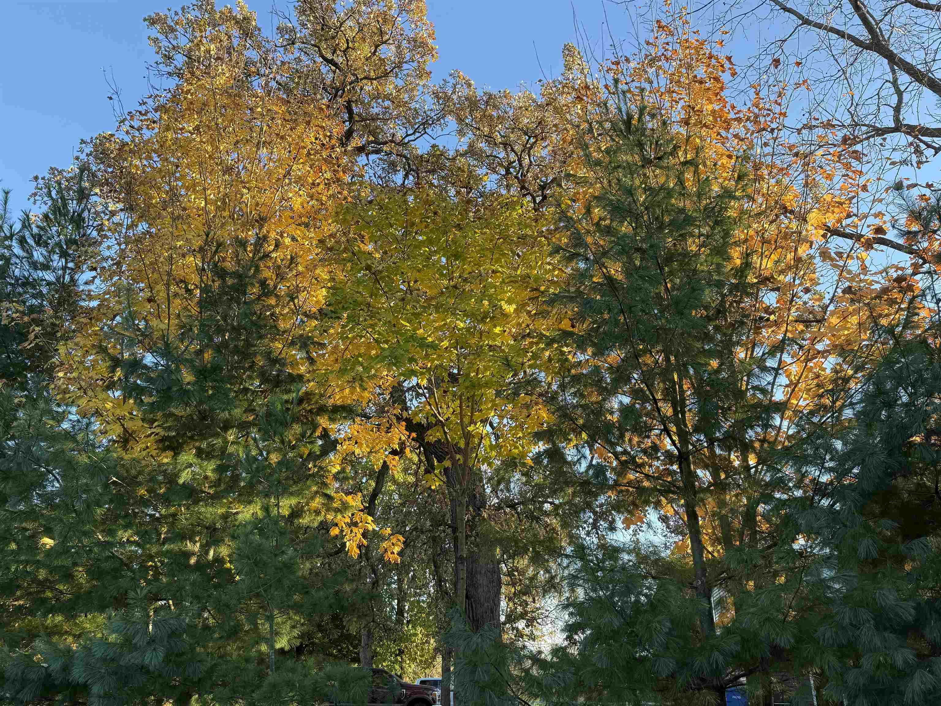 6415 South Windsor Prairie Road DeForest, WI 53532 - Photo 30 of 31