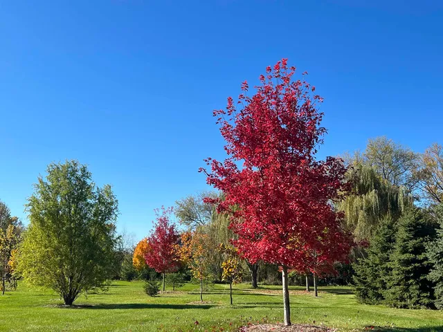 $545,000 | 6415 South Windsor Prairie Road, DeForest, WI 53532