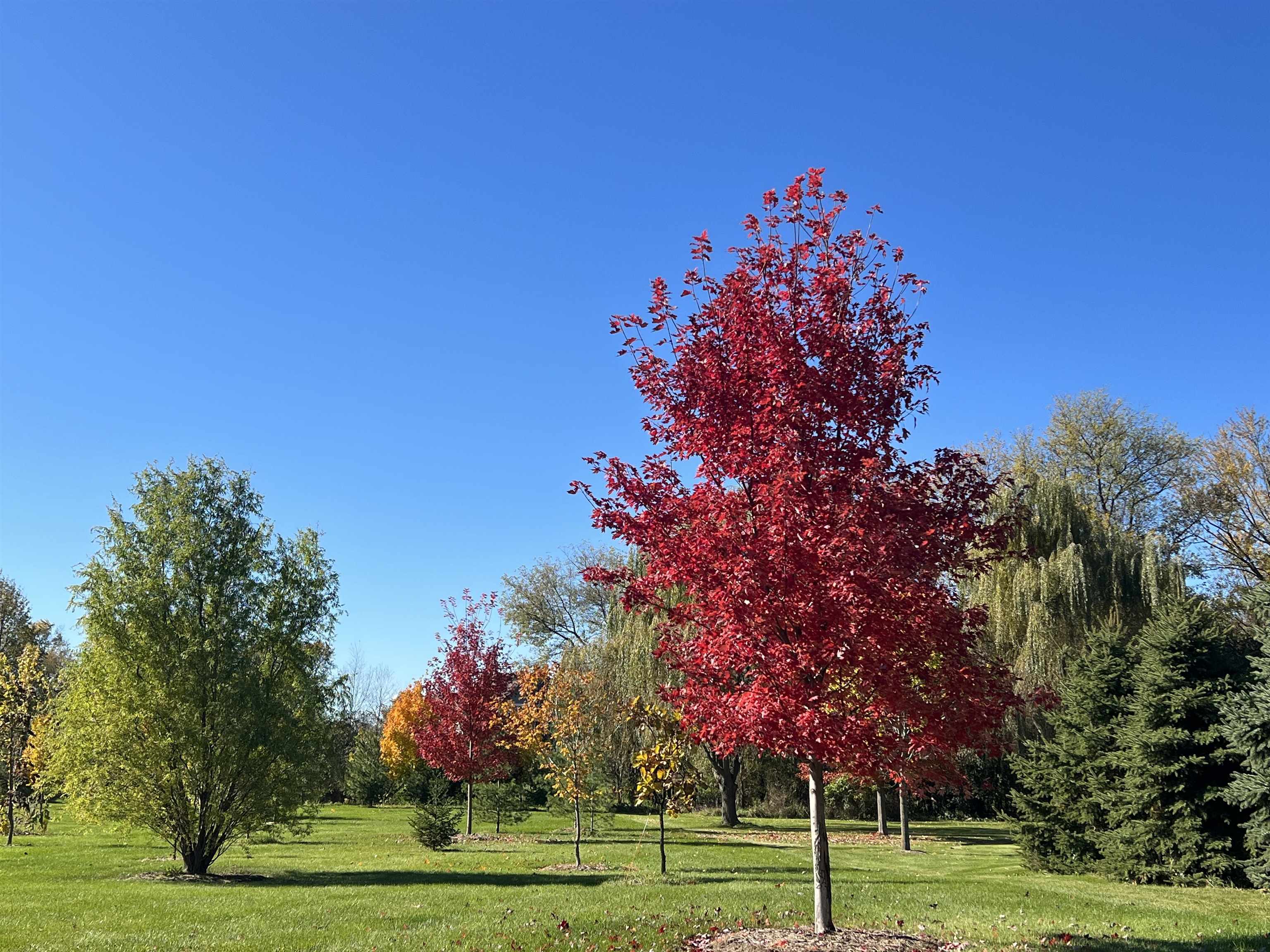 6415 South Windsor Prairie Road DeForest, WI 53532 - Photo 4 of 31