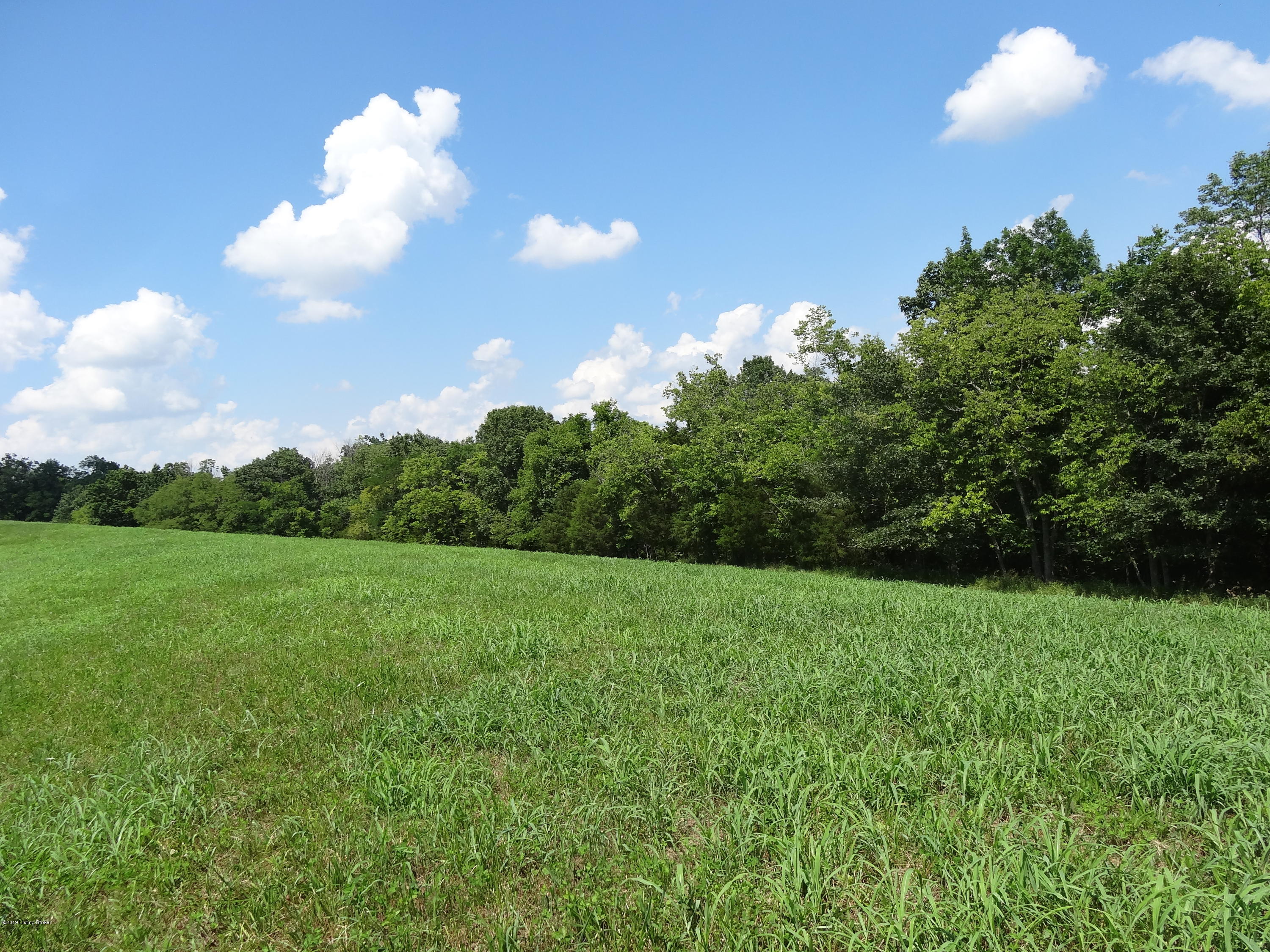 3000 Plum Ridge Road Taylorsville, KY 40071 - Photo 1 of 5 Land