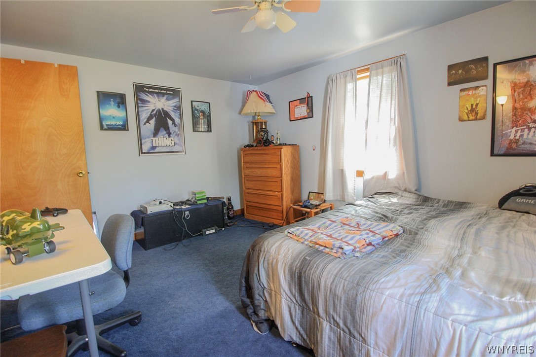 10246 Mill Road Ridgeway, NY 14103 - Photo 24 of 47