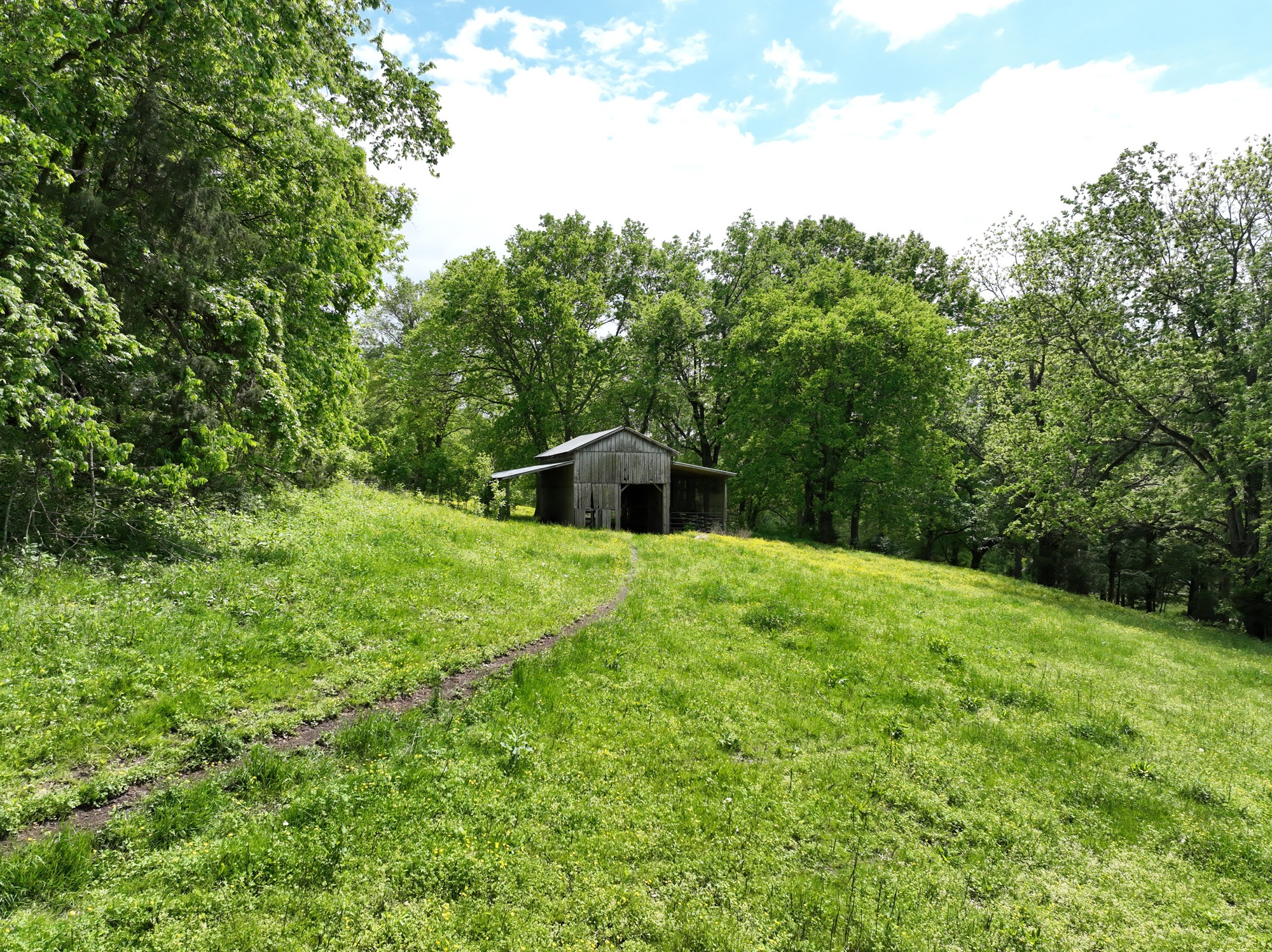 0 Baptist Branch Road Mount Pleasant, TN 38474 - Photo 1 of 29 Gallery Image 1
