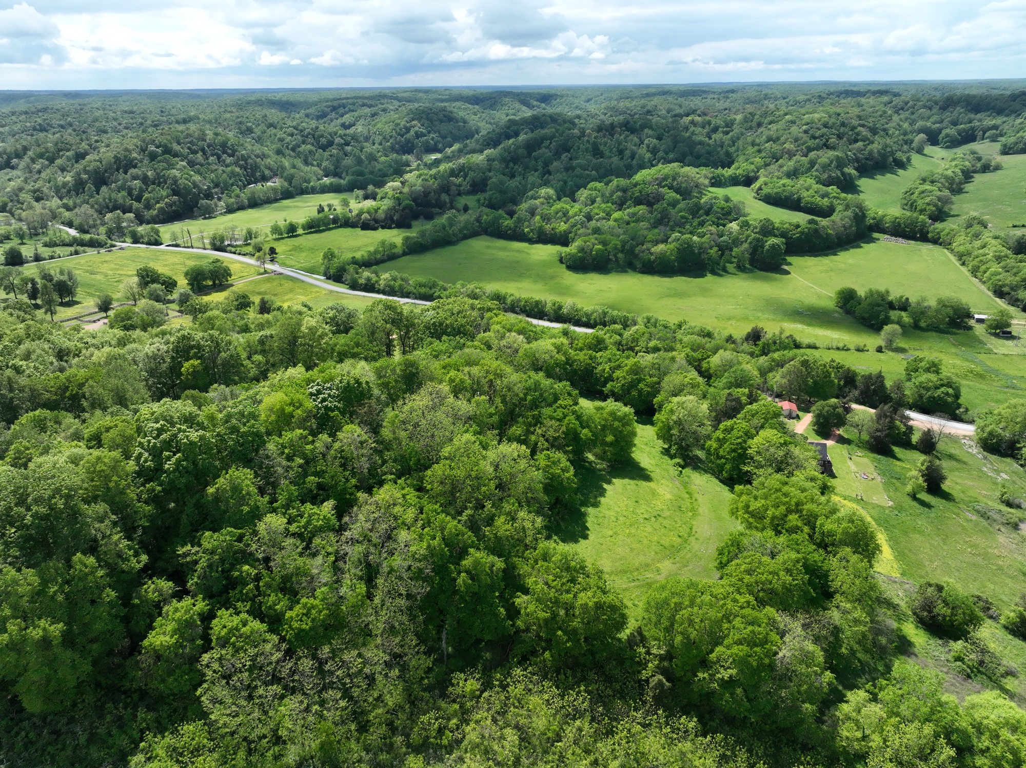 0 Baptist Branch Road Mount Pleasant, TN 38474 - Photo 18 of 29 Gallery Image 18