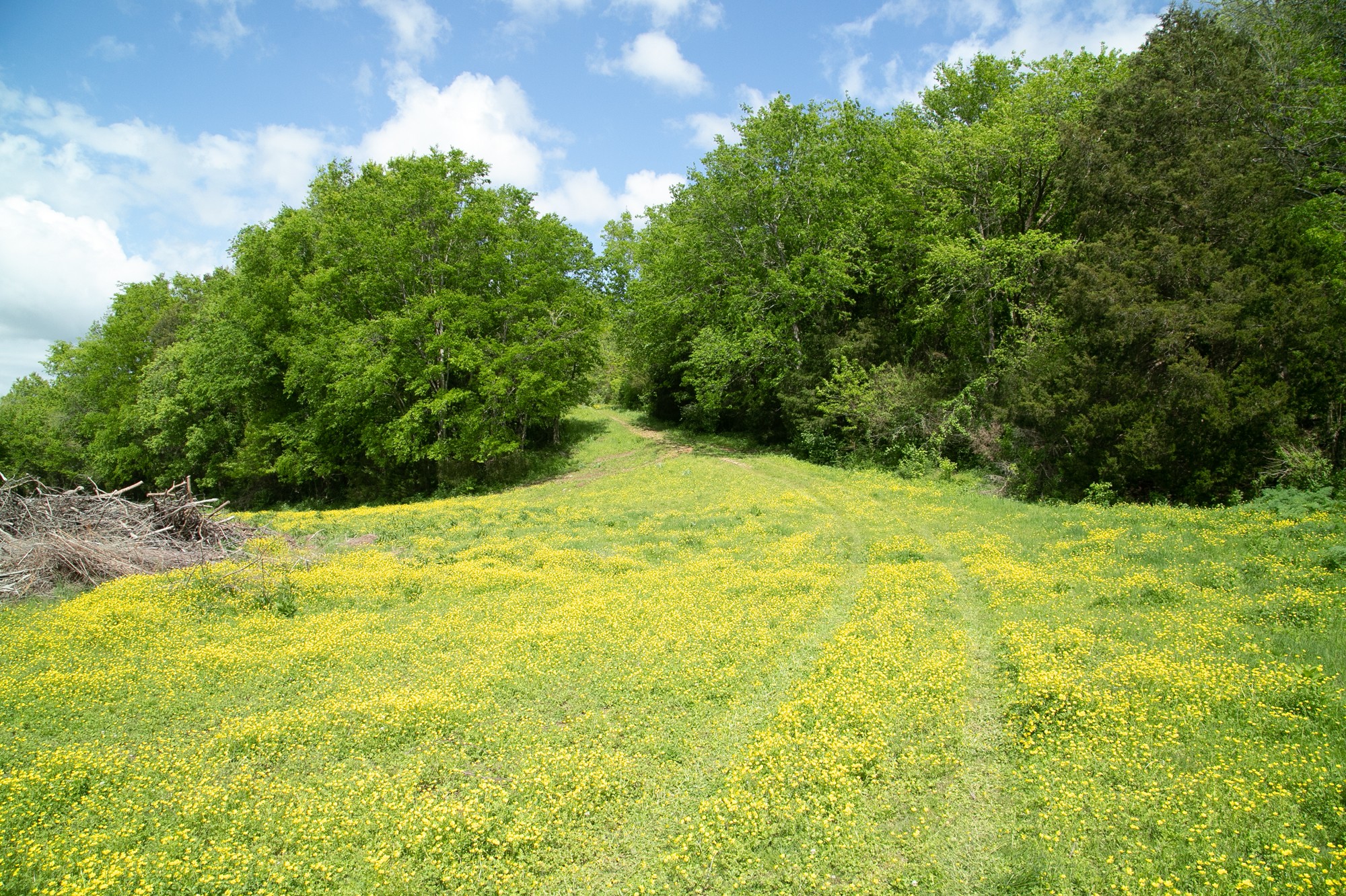 0 Baptist Branch Road Mount Pleasant, TN 38474 - Photo 27 of 29 Gallery Image 27
