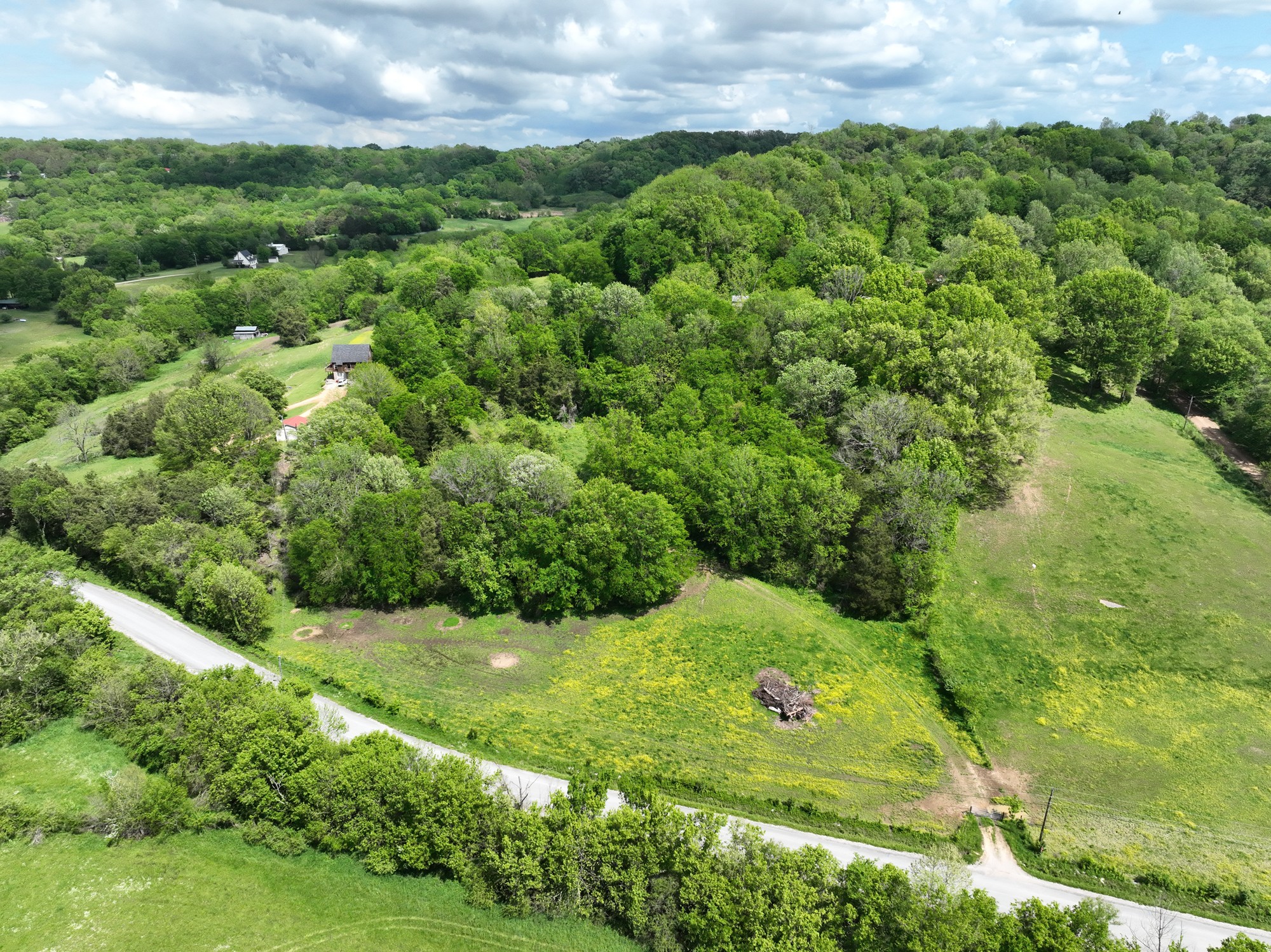 0 Baptist Branch Road Mount Pleasant, TN 38474 - Photo 7 of 29 Gallery Image 7