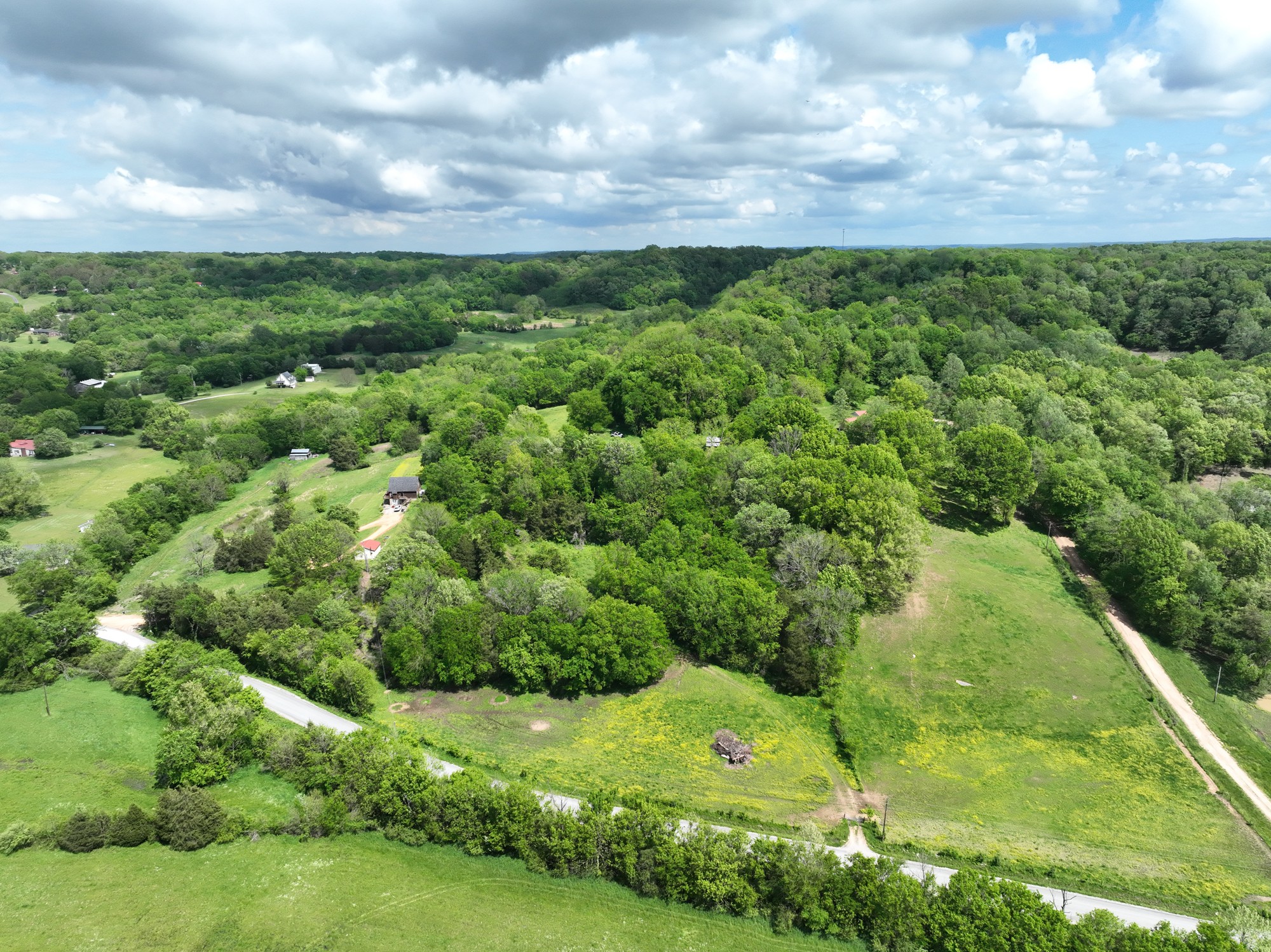0 Baptist Branch Road Mount Pleasant, TN 38474 - Photo 8 of 29 Gallery Image 8