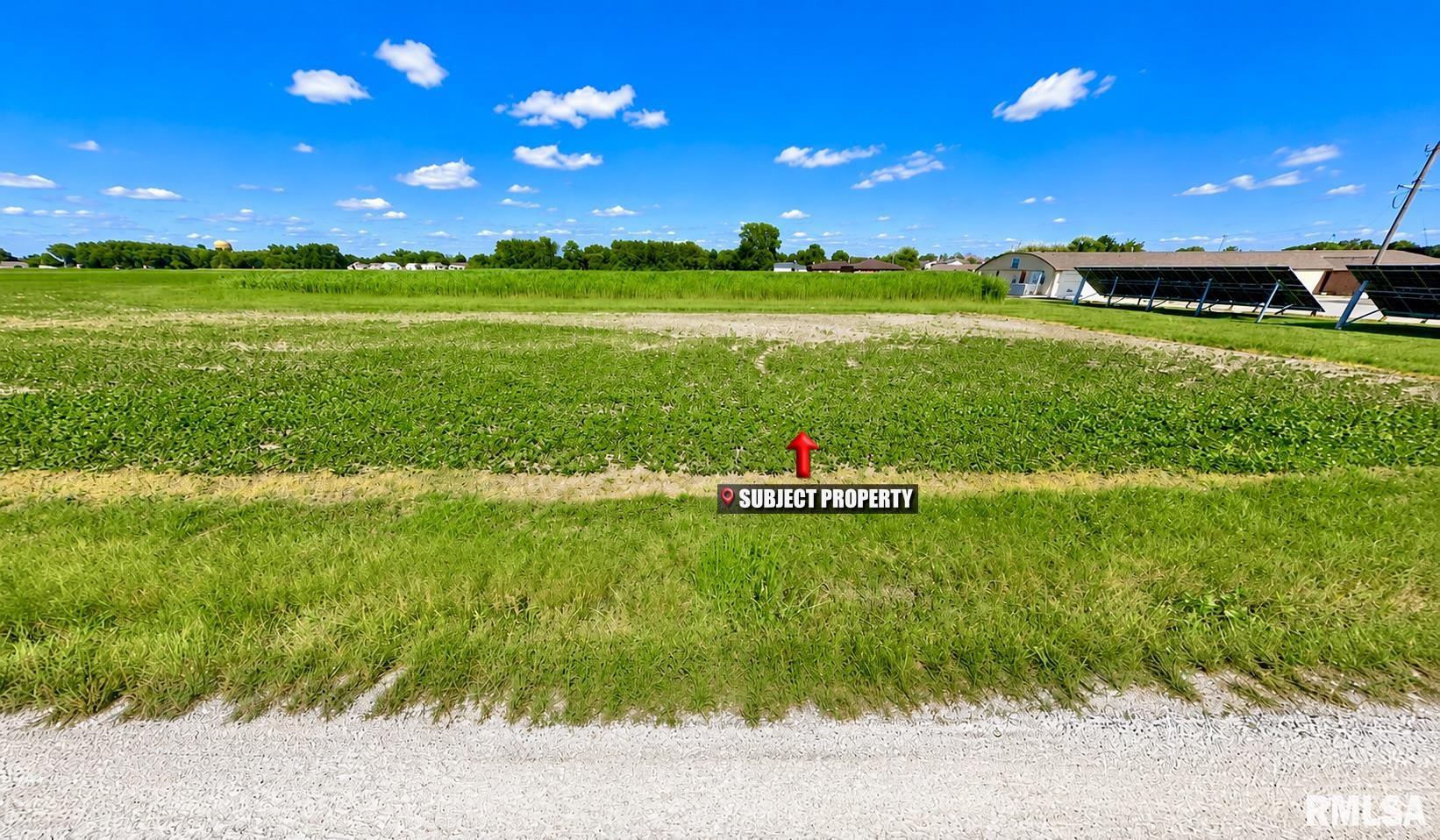 0 Tower Road Gillespie, IL 62033 - Photo 8 of 14