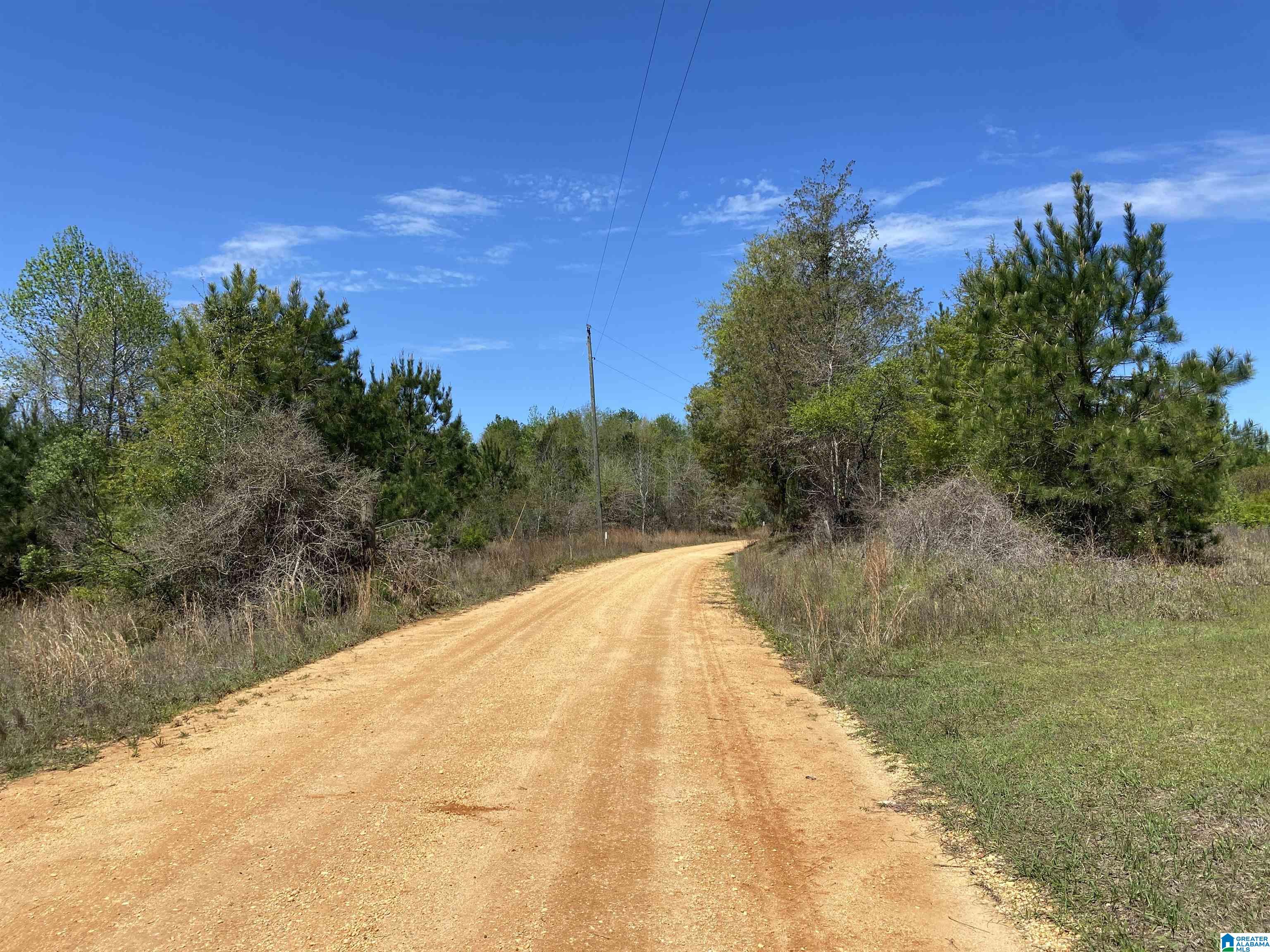0 Richardson Road Brewton, AL 36426 - Photo 2 of 47