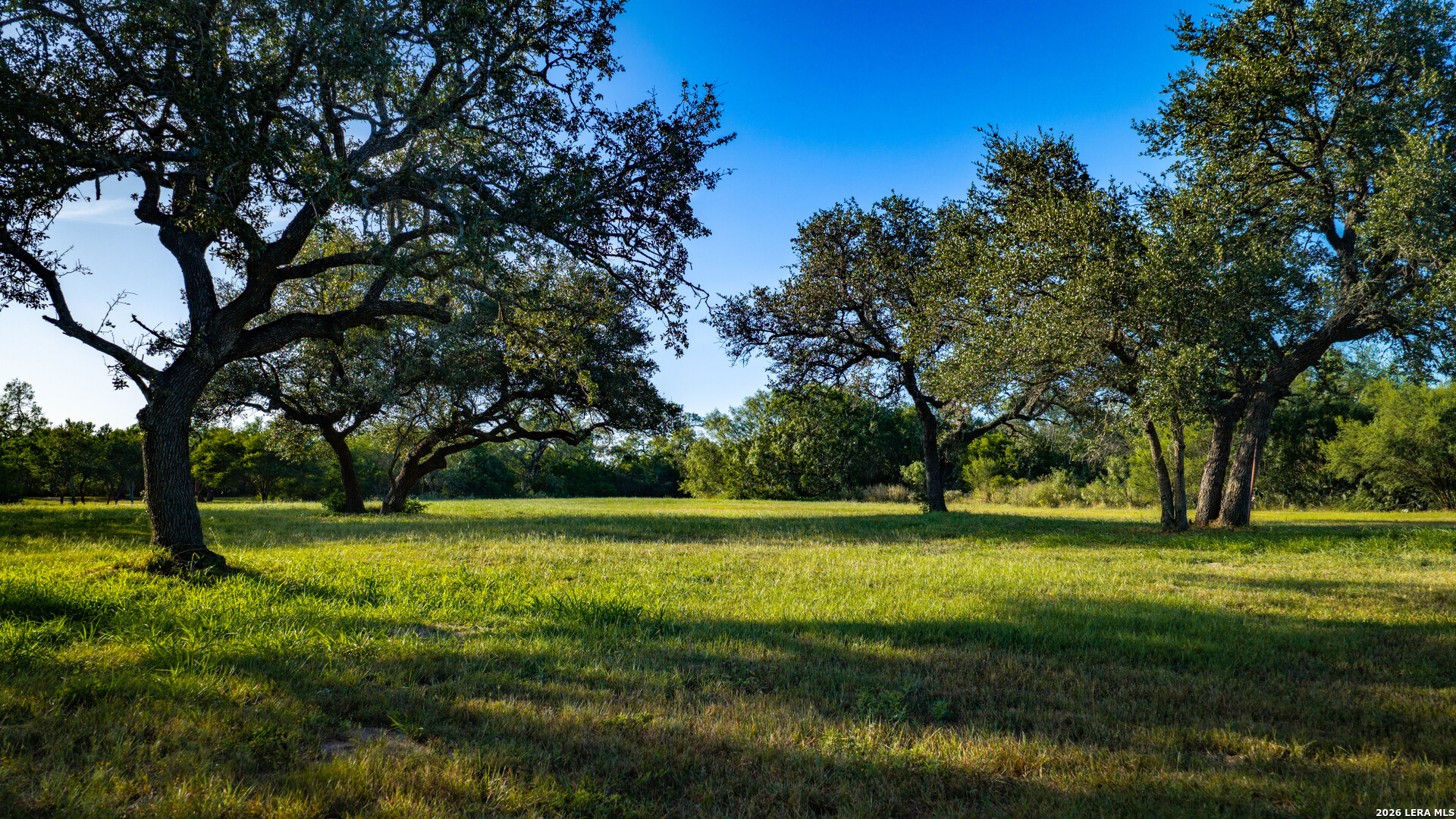 1703 FM 885 Road Runge, TX 78151 - Photo 38 of 41