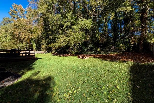a view of yard with green space