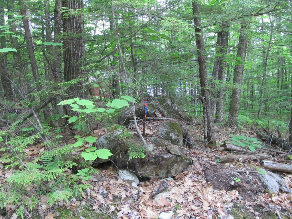 1 Webber Pond Road Harrison, ME 04040 - Photo 5 of 10 Gallery Image 5