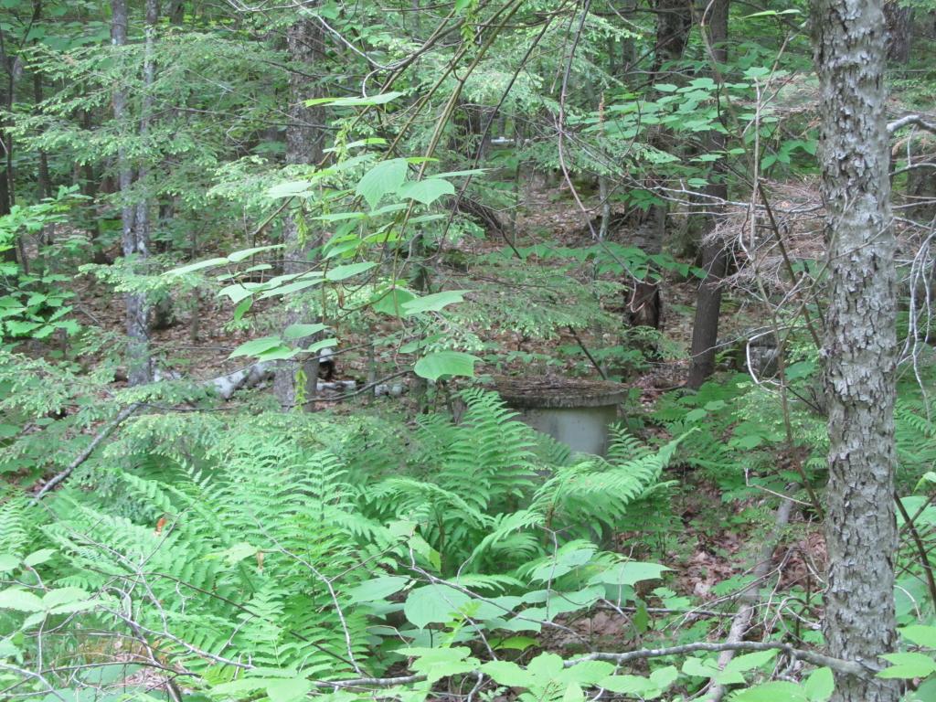 1 Webber Pond Road Harrison, ME 04040 - Photo 6 of 10 Gallery Image 6