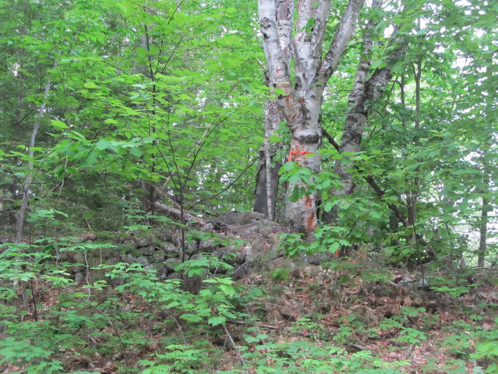 1 Webber Pond Road Harrison, ME 04040 - Photo 9 of 10 Gallery Image 9