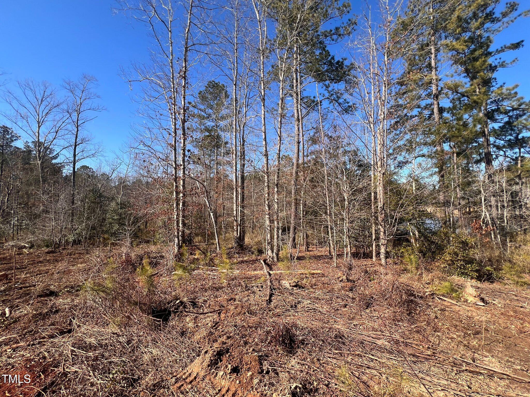Lot 10 Debnam Road Zebulon, NC 27597 - Photo 6 of 10 WhatsApp Image 2025-02-03 at 11.22.56