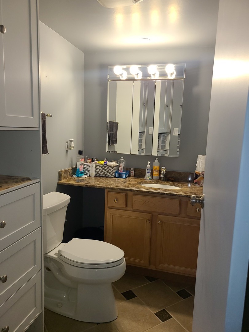 8359 West Addison Street, Unit 201 Chicago, IL 60634 - Photo 21 of 22 a bathroom with a sink vanity mirror and toilet