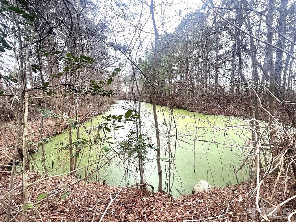 0 Darroch Road Lillington, NC 27546 - Photo 12 of 12 a view of an outdoor space