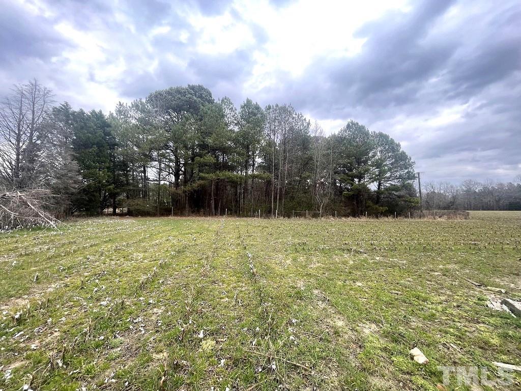 0 Darroch Road Lillington, NC 27546 - Photo 2 of 12 a backyard of a house with lots of green space