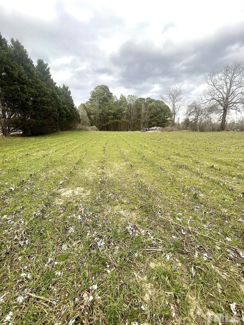 0 Darroch Road Lillington, NC 27546 - Photo 4 of 12 a view of open space with yard and green space
