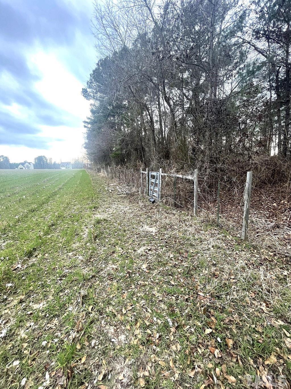 0 Darroch Road Lillington, NC 27546 - Photo 8 of 12 a view of two trees in a yard