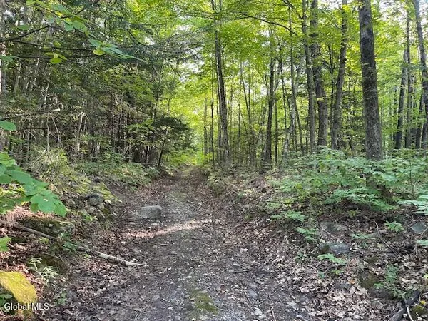 $40,000 | 288 Lang Road, Moriah, NY 12960