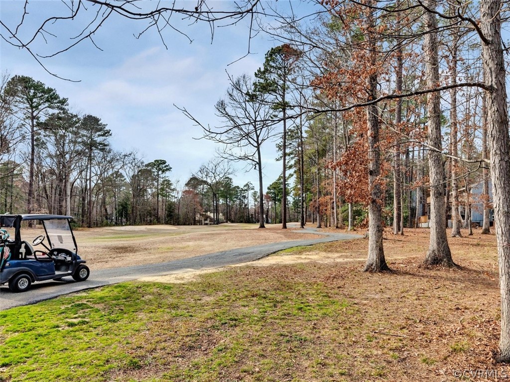 3900 Timber Ridge Road Midlothian, VA 23112 - Photo 2 of 44 a view of a yard with entertaining space
