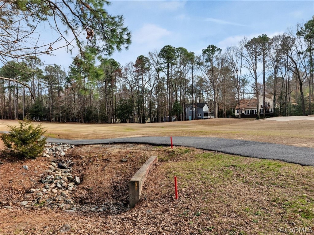 3900 Timber Ridge Road Midlothian, VA 23112 - Photo 37 of 44 a view of a yard with palm trees