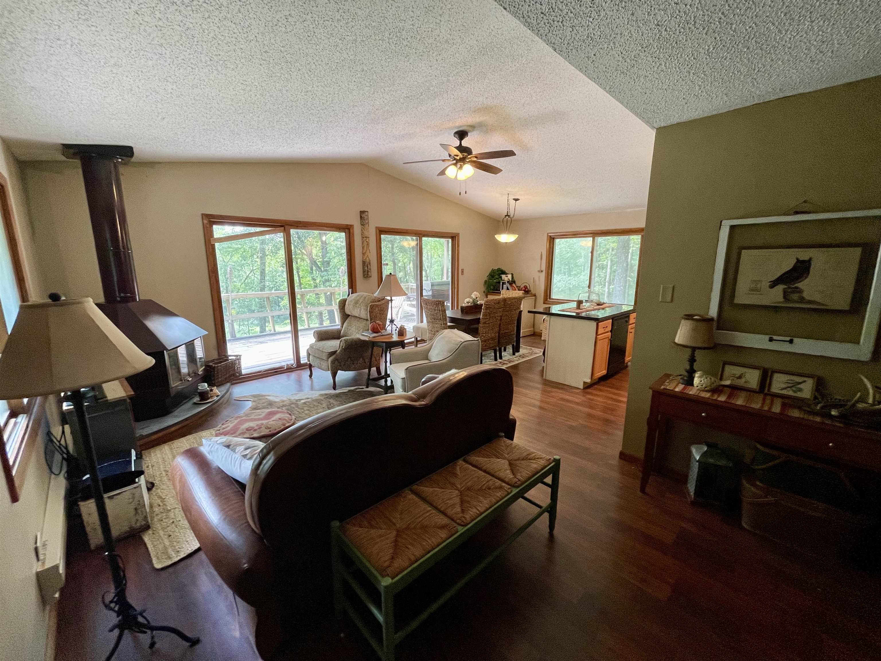 8008 West Blanding Road Hanover, IL 61041 - Photo 21 of 67 a living room with furniture a fireplace and a flat screen tv
