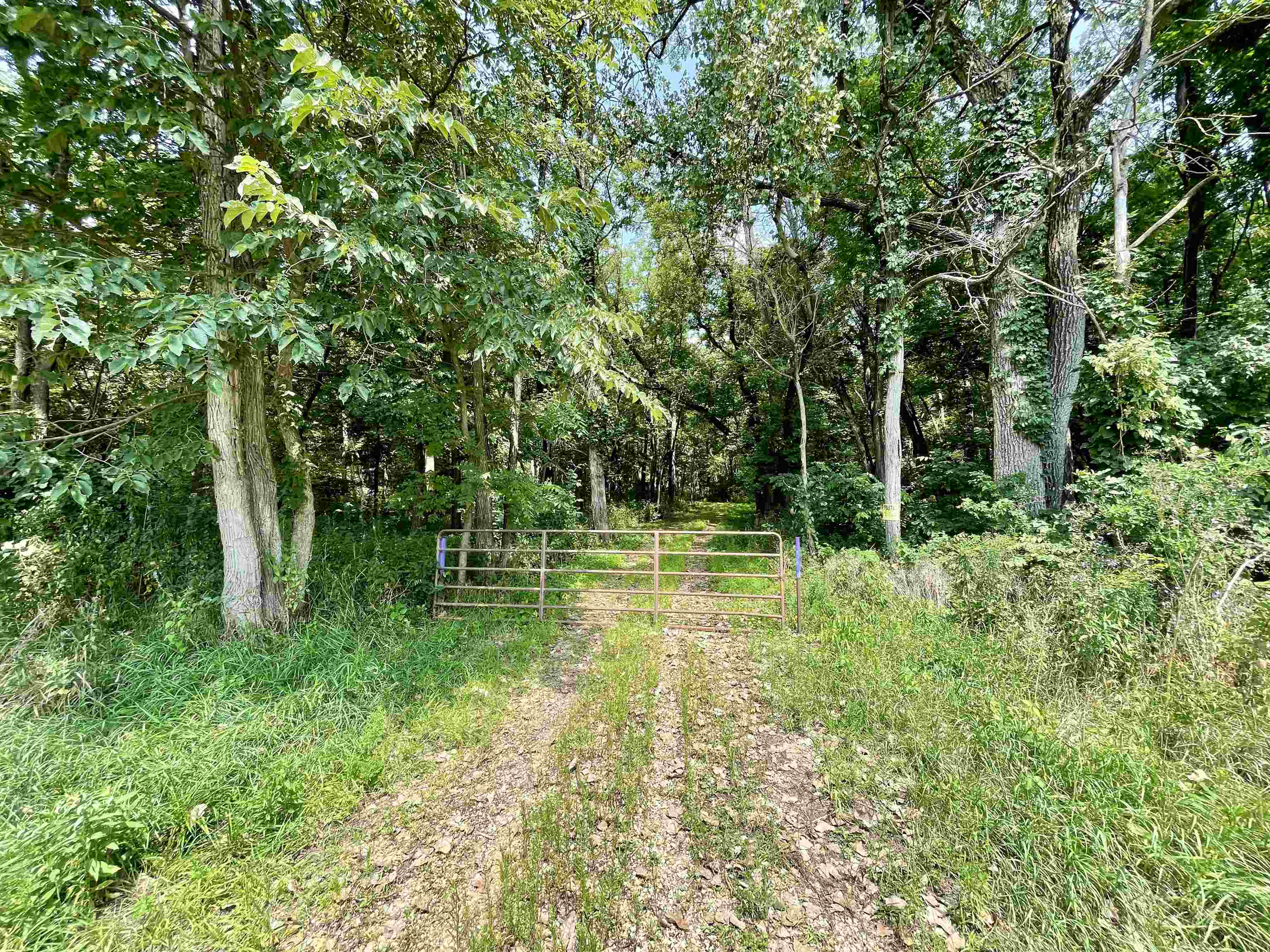 8008 West Blanding Road Hanover, IL 61041 - Photo 56 of 67 a backyard of a house with lots of green space