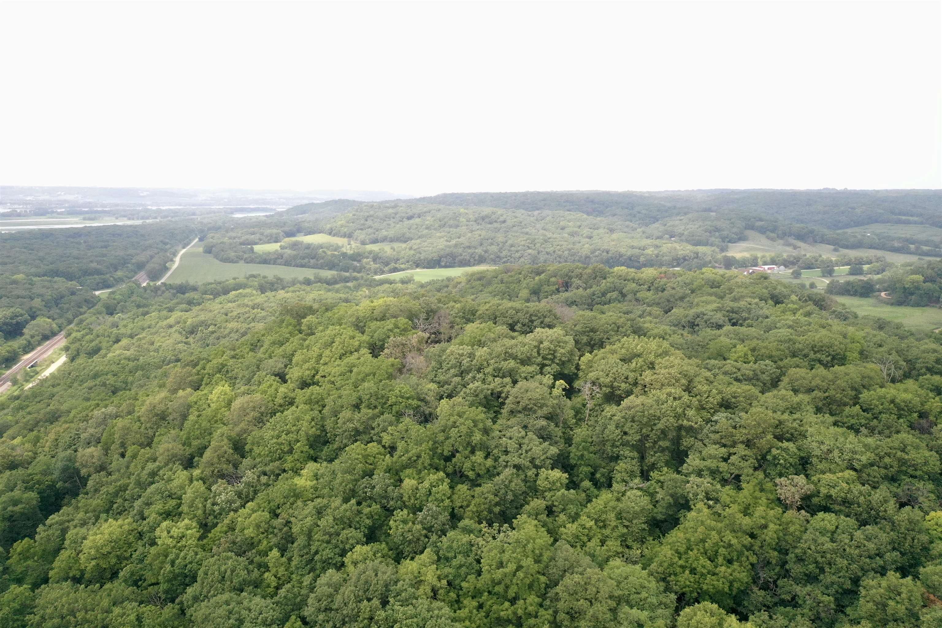8008 West Blanding Road Hanover, IL 61041 - Photo 65 of 67 an aerial view of houses covered in trees