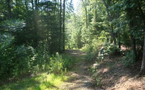 Lot 3 Deer Ridge Murphy, NC 28906 - Photo 1 of 1 Main View