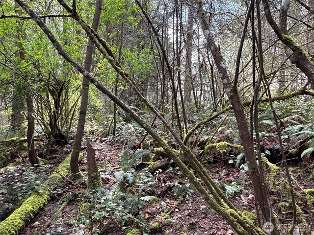 $24,500 | 17636 East Clear Lake Boulevard Southeast, Yelm, WA 98597