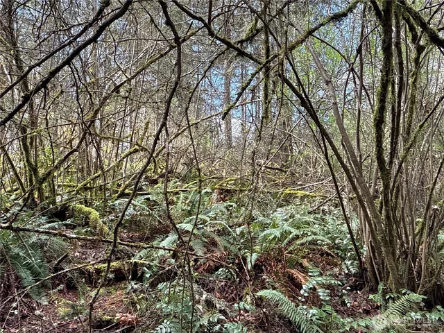 $24,500 | 17636 East Clear Lake Boulevard Southeast, Yelm, WA 98597