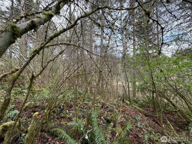 $24,500 | 17636 East Clear Lake Boulevard Southeast, Yelm, WA 98597