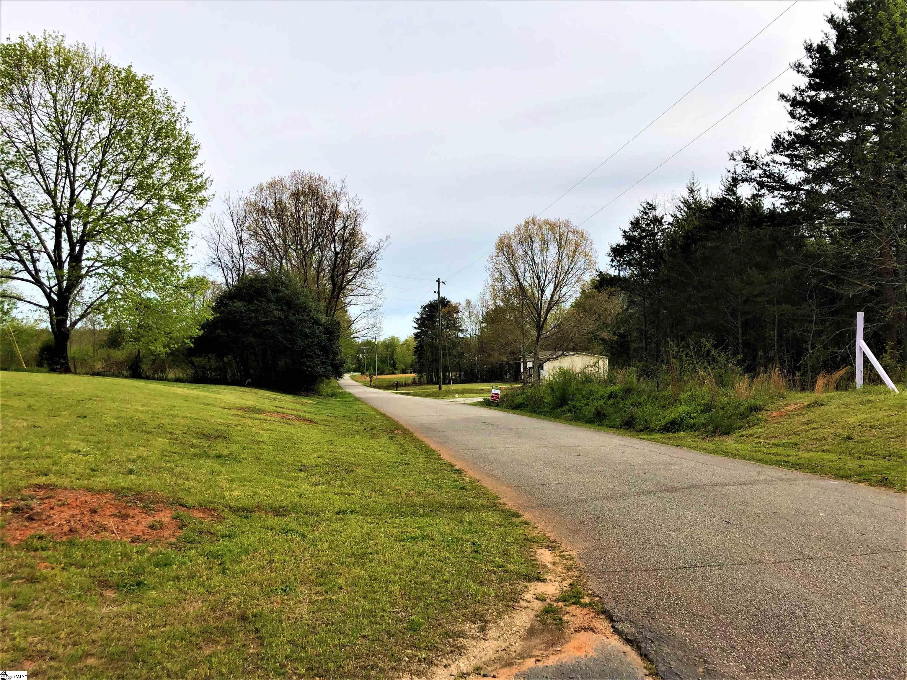 0 Ray Blackley Road Chesnee, SC 29323 - Photo 3 of 3
