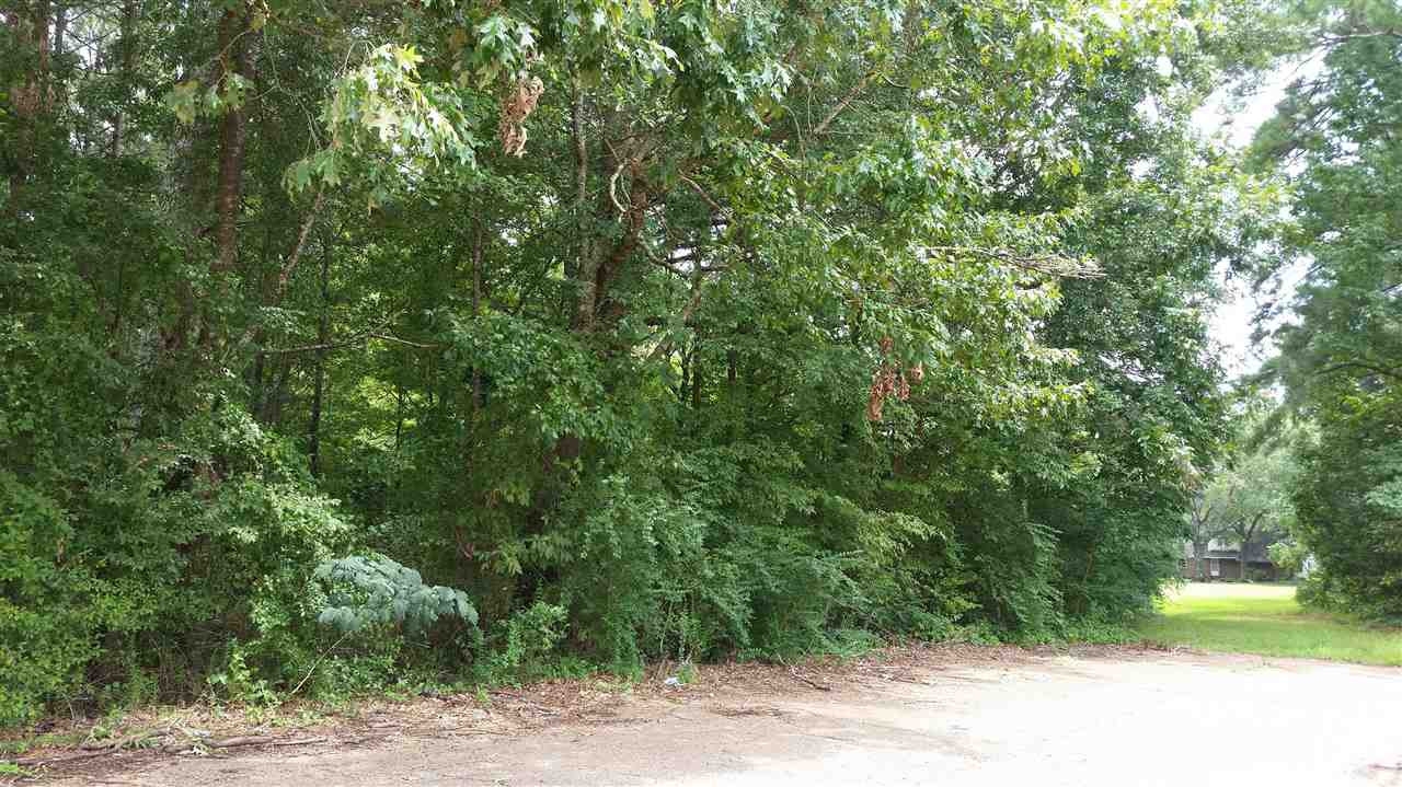 2522 Old Brandon Road Pearl, MS 39208 - Photo 29 of 37 Photo 29