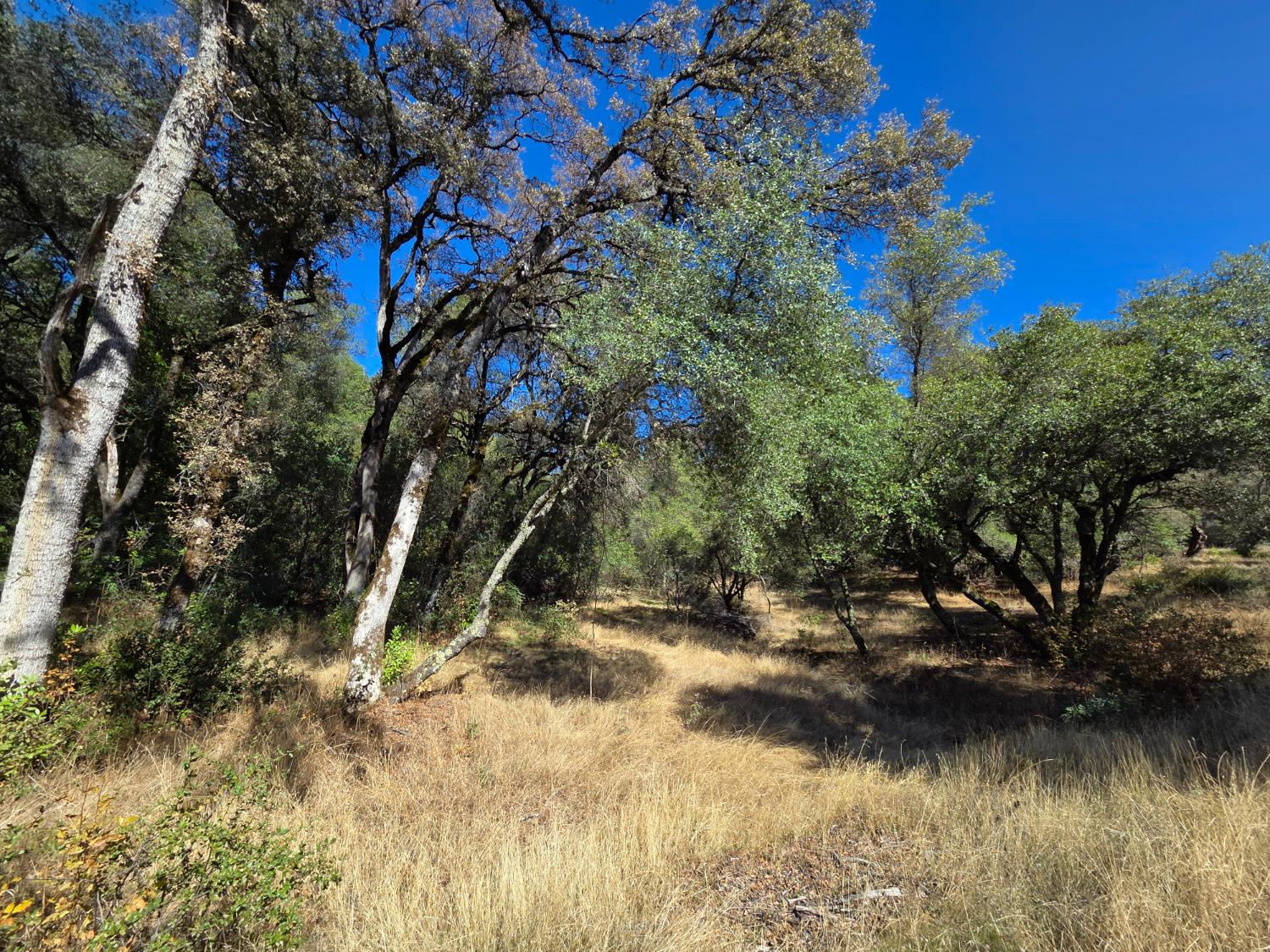11465 Rex Reservoir Road Penn Valley, CA 95946 - Photo 8 of 18