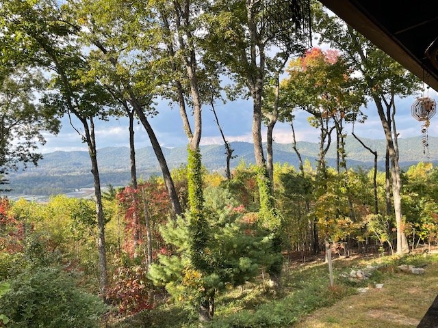 911 Summit Way Blairsville, GA 30512 - Photo 4 of 15 a view of yard