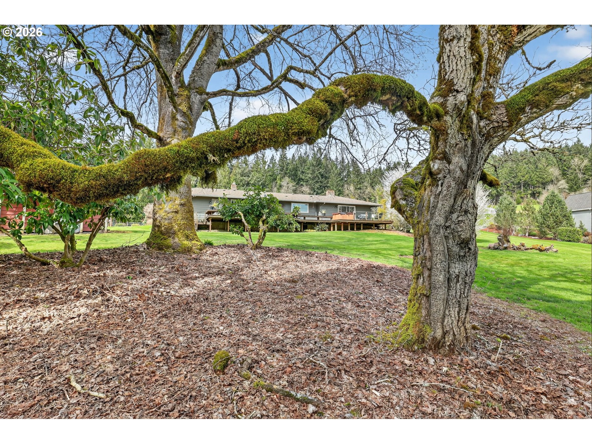 9732 Southeast Ladera Court Damascus, OR 97089 - Photo 34 of 41 a backyard of a house with lots of green space