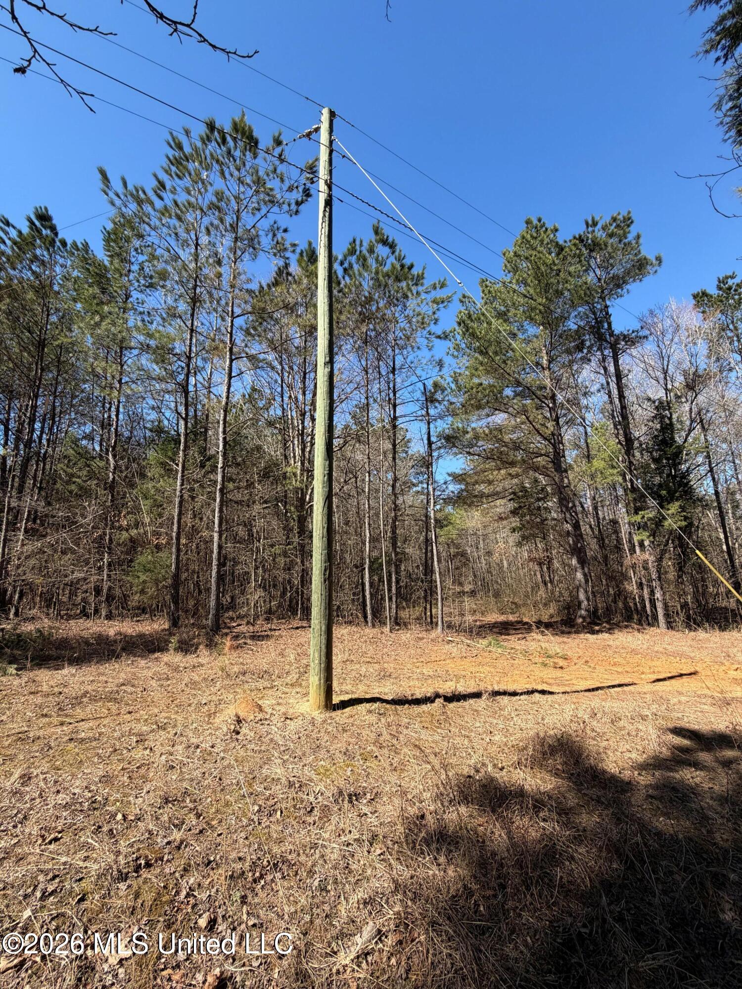 2001 Reed Road Mathiston, MS 39752 - Photo 2 of 24 2 (4)