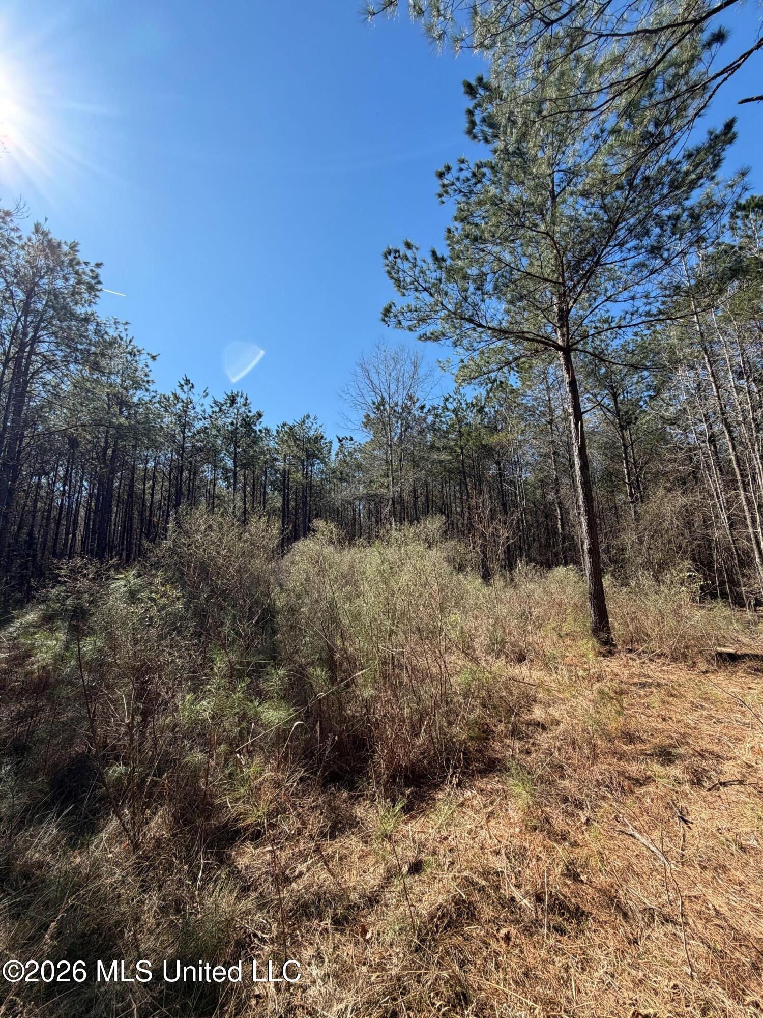 2001 Reed Road Mathiston, MS 39752 - Photo 24 of 24 Photo Feb 23 2026, 11 19 19 AM