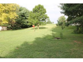 127 Springbrook Road Afton, TN 37616 - Photo 22 of 24 Photo 22