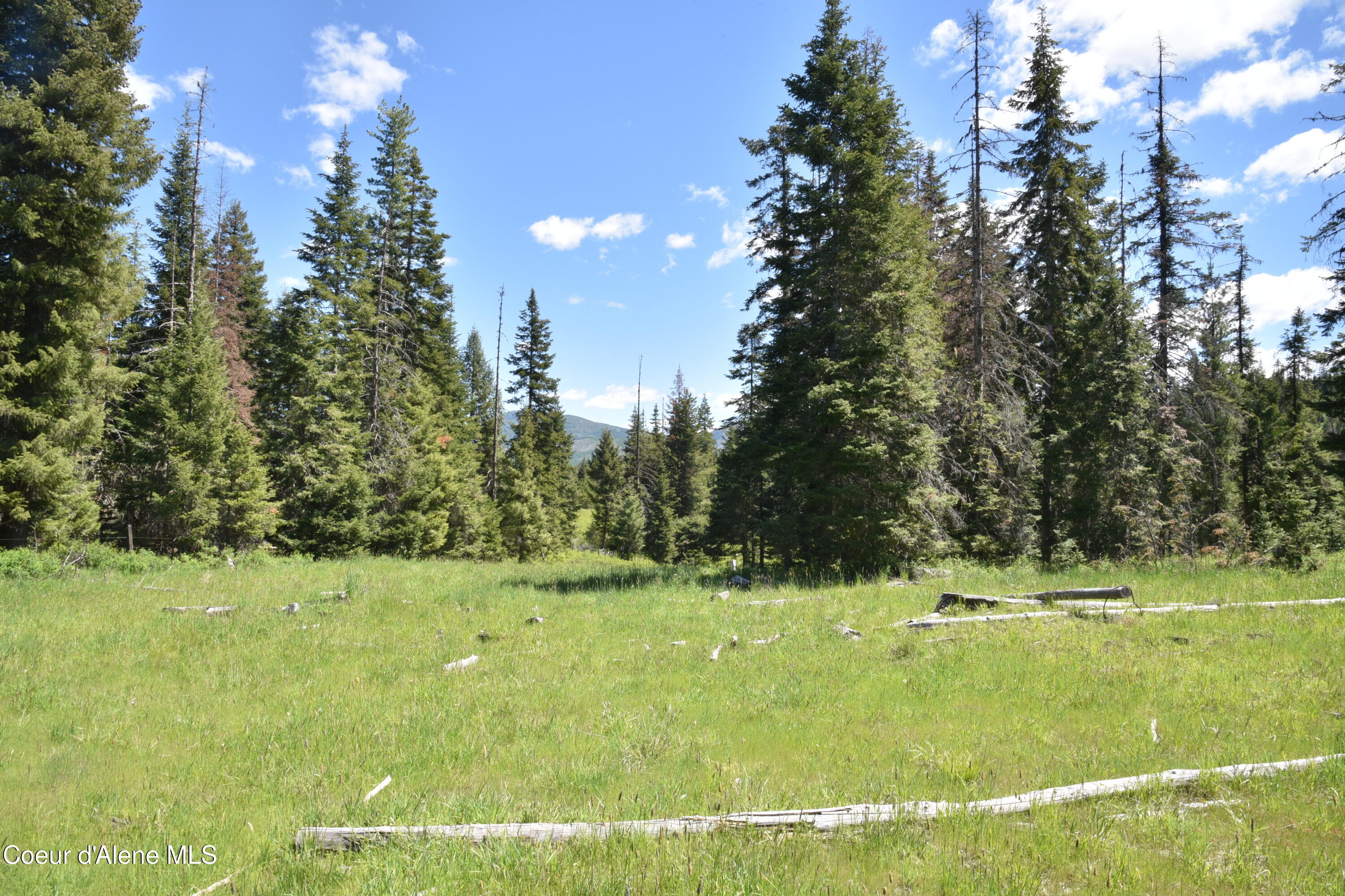 Nna Carpenter Creek Road Fernwood, ID 83830 - Photo 5 of 13 5