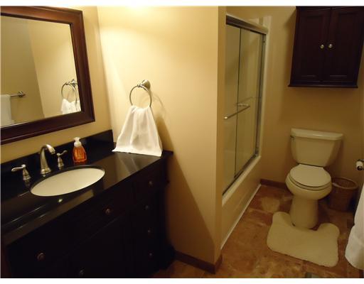 327 Zeigler Road Rochester, PA 15074 - Photo 14 of 15 Master Bath/Spa.